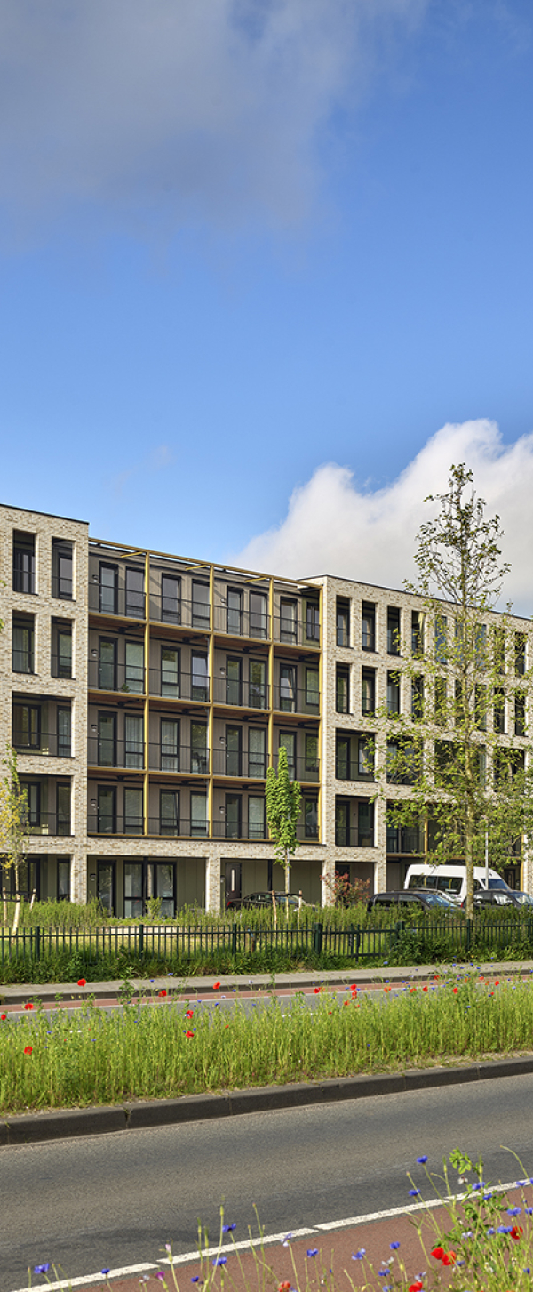 Koelmalaan Alkmaar 25 05 2023 002 LR.jpg
