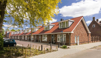 Levensloop Puur2.jpg