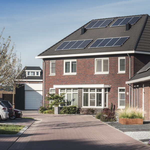 project_sambeek-6.jpg